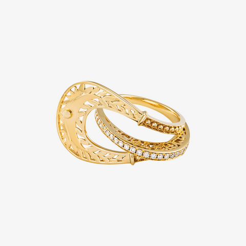 Framing Emotions Ring